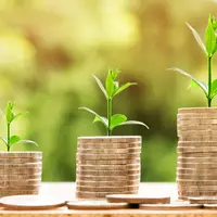 Как посчитать доходность облигаций