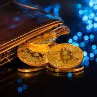 An imagined cryptocurrency wallet with gold coin tokens