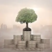 Что такое инвестиционный портфель?  Что такое инвестиционный портфель?