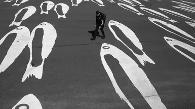 Fading trading explained