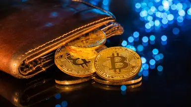 An imagined cryptocurrency wallet with gold coin tokens An imagined cryptocurrency wallet with gold coin tokens