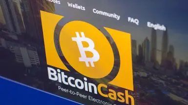 Bitcoin Cash logo