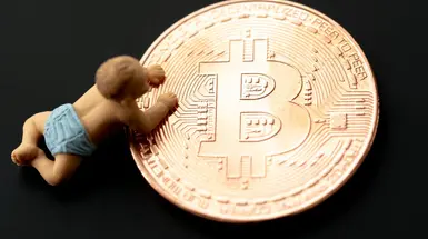 Concept of a baby crawling onto a large bitcoin Concept of a baby crawling onto a large bitcoin