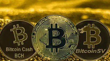 Illustration of bitcoin, bitcoin cash, and bitcoin SV Illustration of bitcoin, bitcoin cash, and bitcoin SV