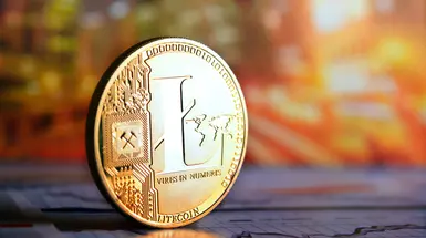 A single Litecoin A single Litecoin