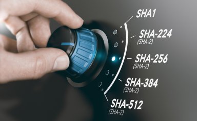 Что такое SHA-256