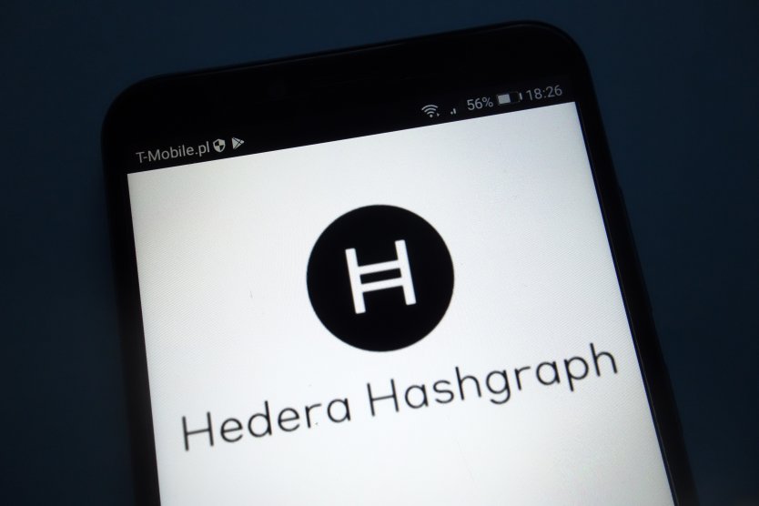 The Hedera logo on a mobile phone